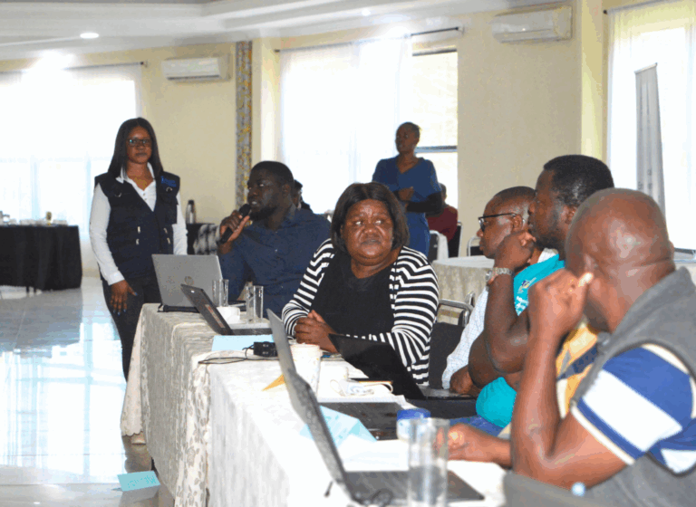 Through the networking events, LEAD CSOs/CSO networks working in the same thematic area will be encouraged to come together and formalize their cooperation through the development of joint partnership strategies or Memoranda of Understanding to facilitate partnerships